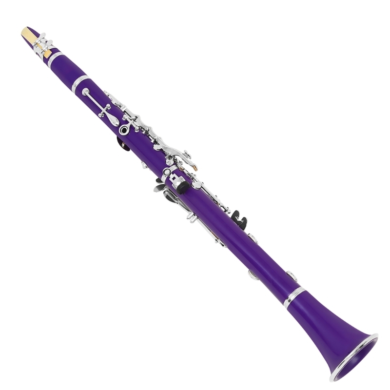Bộ nhạc cụ Clarinet bằng nhựa  - đánh giá và giá Musical Instrument In Orchestra