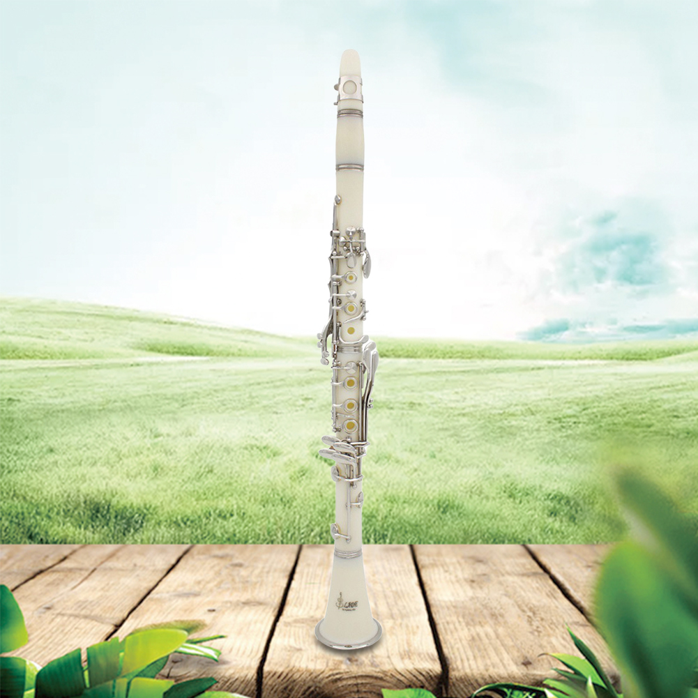 Bb Clarinet 17 Keys with Case  - đánh giá và giá Musical Instrument In Orchestra
