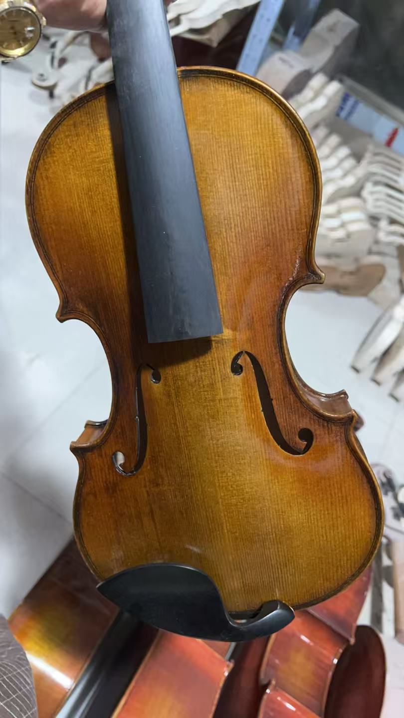 Musical Instruments 4/4 Carvin - đánh giá và giá Musical Instruments Online