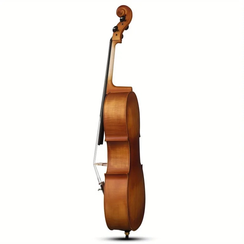 4/4 Matte Natural Color BASSWO - đánh giá và giá Musical Instrument In Orchestra