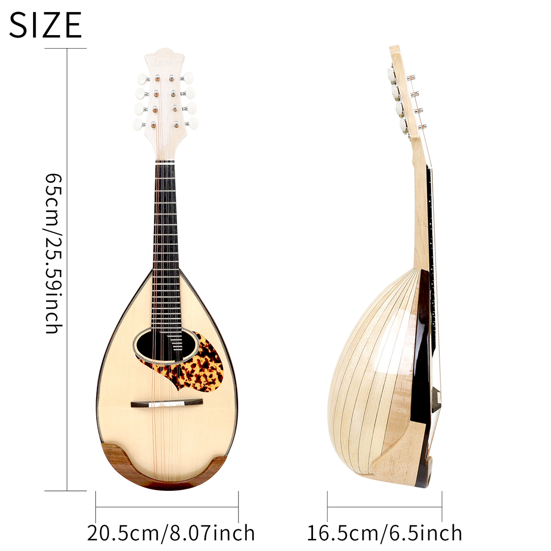 IRIN MD-60 Mandolin Japanese M - đánh giá và giá Musical Instrument Japanese