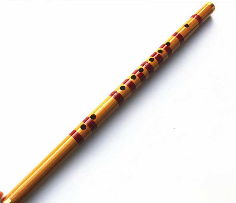 Children Learning Well Designe - đánh giá và giá Musical Instrument Piccolo