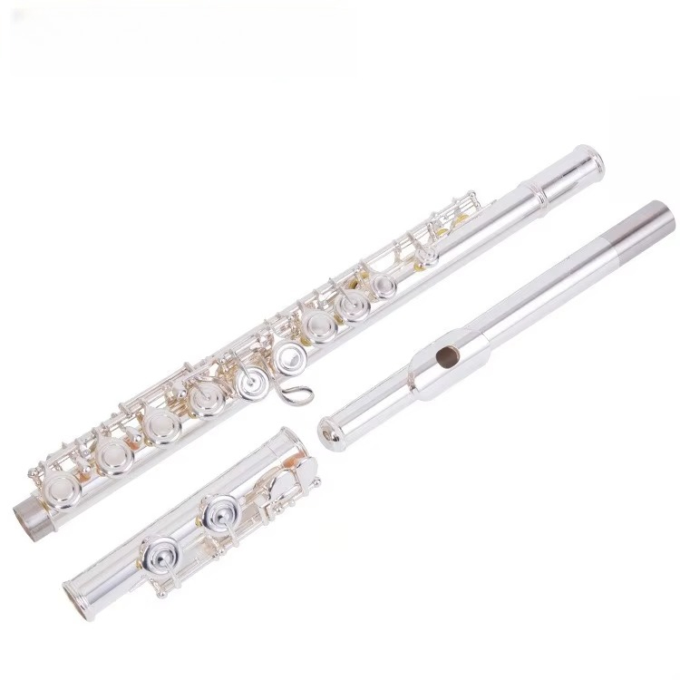 C Key Nickel Plated Brass Prof - đánh giá và giá Musical Instrument In Orchestra