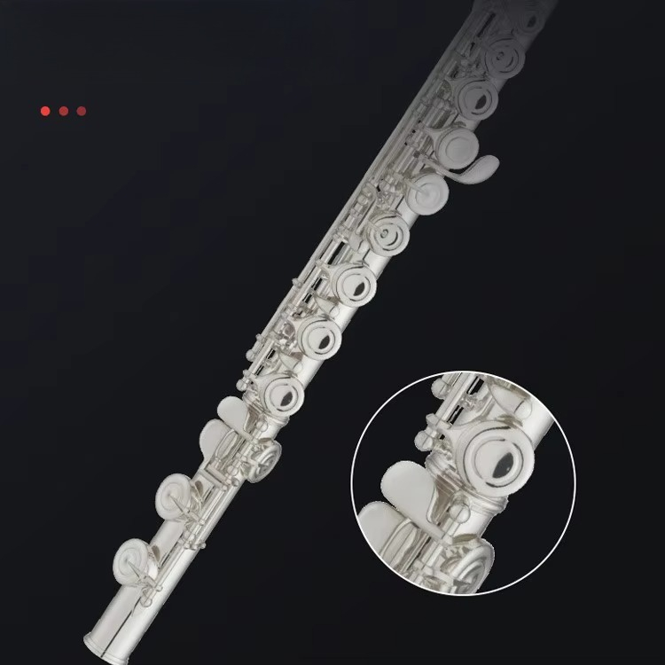 C Key Nickel Plated Brass Prof - đánh giá và giá Musical Instrument In Orchestra