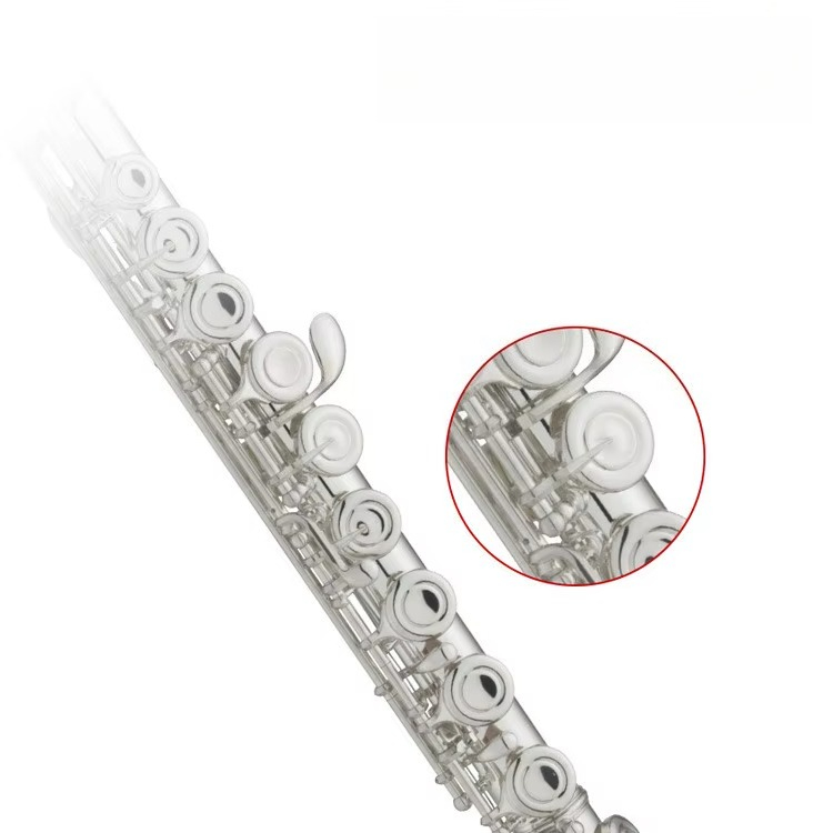 C Key Nickel Plated Brass Prof - đánh giá và giá Musical Instrument In Orchestra