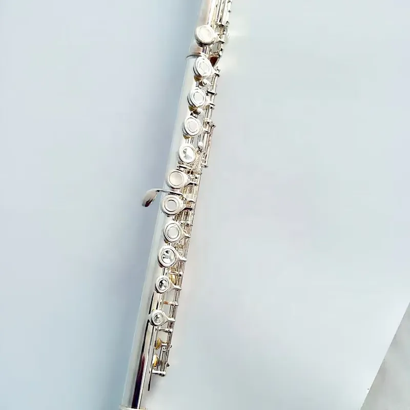 16 17 Hole Silver Plated Flute - đánh giá và giá Musical Instrument In Orchestra