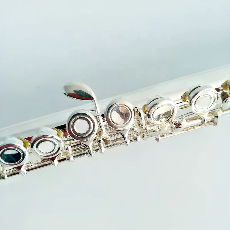 16 17 Hole Silver Plated Flute - đánh giá và giá Musical Instrument In Orchestra